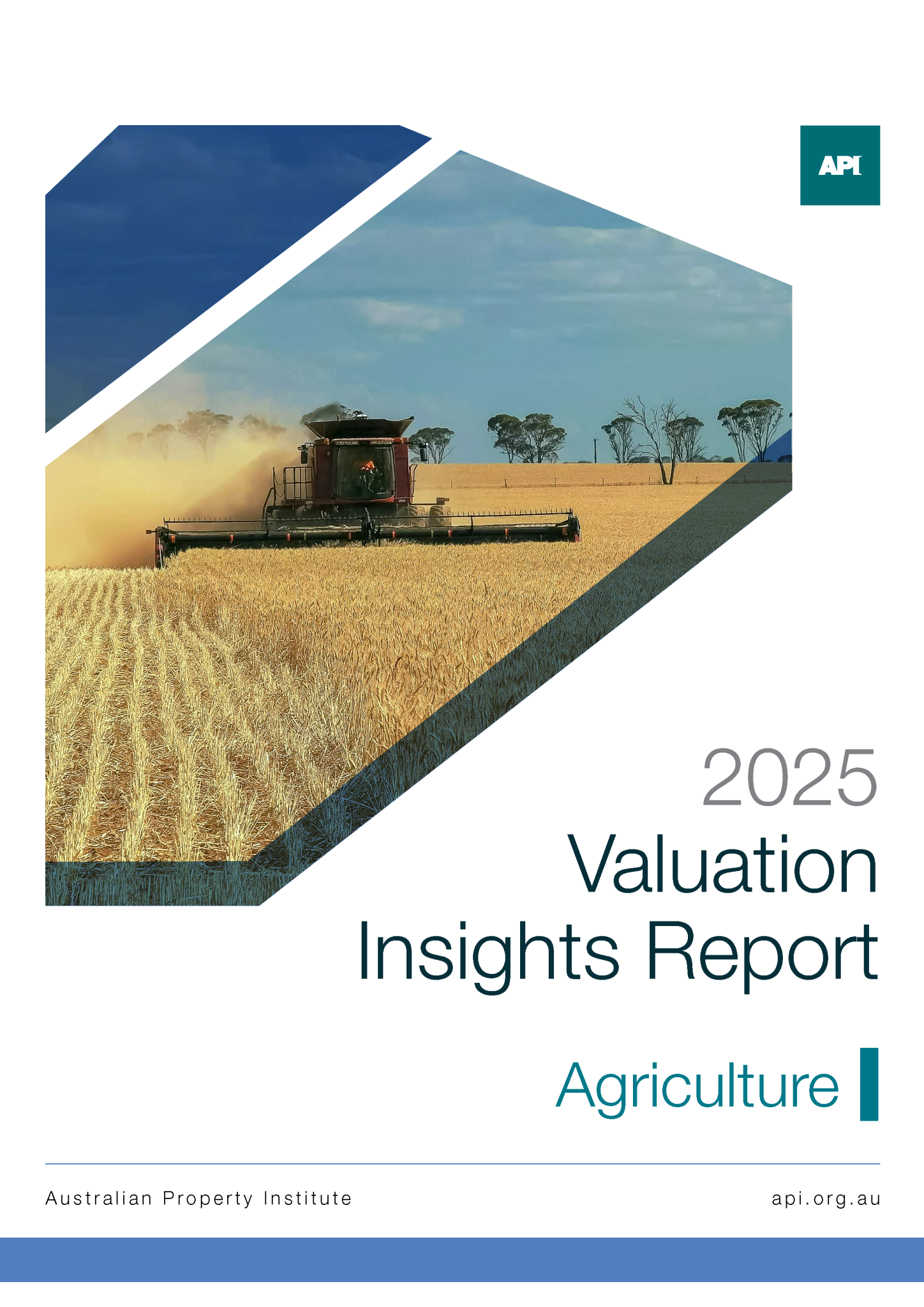 API Valuation Insights Report - Australian Property Institute